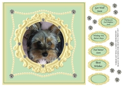 YORKIE GET WELL GREEN CAMEO