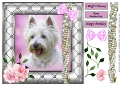 WESTIE LOVE