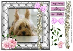 YORKIE LOVE