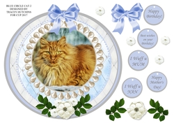 GINGER CAT 2