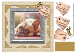 FRENCH BULL DOG SLEEPY 2 GET WELL/BIRTHDAY