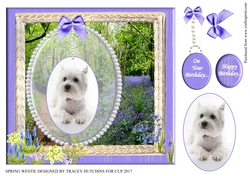 SPRING WESTIE