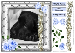 BLACK LABRADOR LOVE