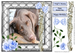 BROWN LABRADOR LOVE