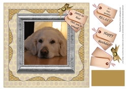 GOLDEN RETRIEVER SLEEPY