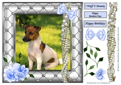 JACK RUSSELL MOTHERS DAY / BIRTHDAY 2