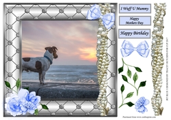 JACK RUSSELL MOTHERS DAY / BIRTHDAY 3