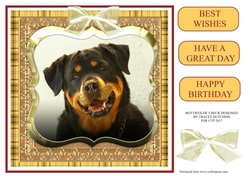 ROTTWEILER CHECK