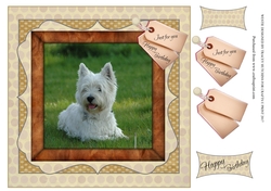 WESTIE