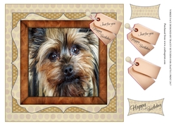 YORKIE FACE