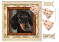 DACHSHUND 2