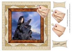 SCOTTIE