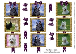 SCOTTIE  WESTIE PICTURE FRAME TOPPERS X 3 ANY OCCASION