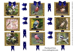 GARDEN BIRDS 1 PICTURE FRAME TOPPERS X 3 ANY OCCASION