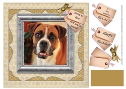 BOXER GET WELL - BIRTHDAY