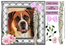 BOXER LOVE BIRTHDAY MOTHERS DAY
