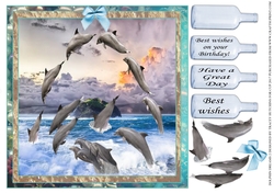 DOLPHIN DREAMS 2