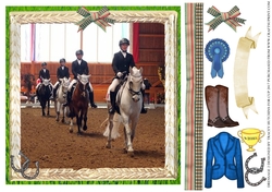 DRESSAGE 2 HORSE SHOW  ANY OCCASION