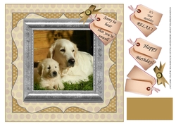 GOLDEN RETRIEVER AND PUP - GET WELL & VARIOUS SENTIMENTS