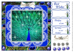 SPARKLING PEACOCK BIRTHDAY AND OTHER SENTIMENTS