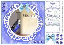 BLUE BUDGIE, BIRTHDAY AND OTHER SENTIMENTS