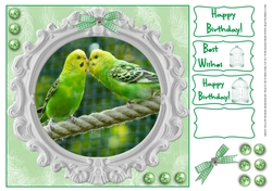 BUDGIE YELLOW / GREEN BIRTHDAY AND OTHER SENTIMENTS