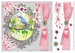 NUTHATCH TREE CREEPER IN BLOSSOM - ANY OCCASION