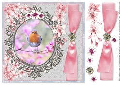 ROBIN IN BLOSSOM - ANY OCCASION