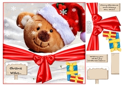 TEDDY XMAS VARIOUS SENTIMENTS