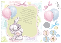 SWEET BUNNY BIRTHDAY GREAT VERSE, AGES 1,2,3 & 4 UNISEX