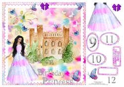 BIRTHDAY PRINCESS AGES 9 10 11