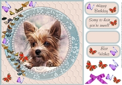 YORKIE WATCHING BUTTERFLIES MULTI SENTIMENT GET WELL BIRTHDAY BEST WISHES