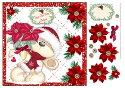 MUM JUST FOR YOU POINSETTIA