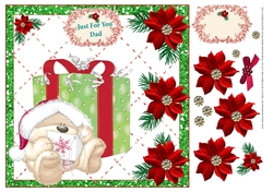 DAD JUST FOR YOU PRESENT