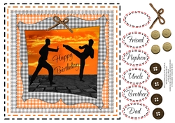 KICK BOXING MARTIAL ARTS BIRTHDAY