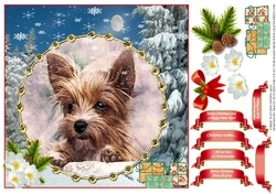 YORKIE WATCHING SNOWFLAKES MULTI SENTIMENT UNISEX CHRISTMAS