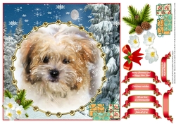 SHIHTZU WATCHING SNOWFLAKES MULTI SENTIMENT UNISEX CHRISTMAS
