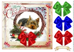WAITING FOR CHRISTMAS YORKIE 2