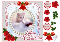 CHRISTMAS KITTEN 1