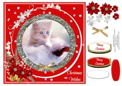 CHRISTMAS KITTY 1