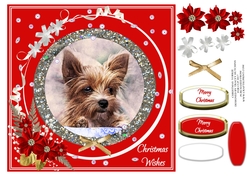 CHRISTMAS YORKIE
