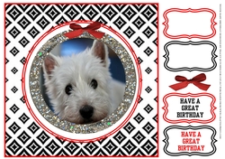 WESTIE BABY BIRTHDAY