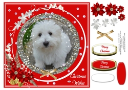 CHRISTMAS SELECTION WESTIE BABY