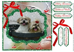 CHRISTMAS CUTE DOUBLE TROUBLE
