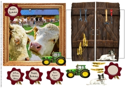 THROUGH THE BARN DOORS MULTI USE 6x6 FIRST PRIZE FARMER
