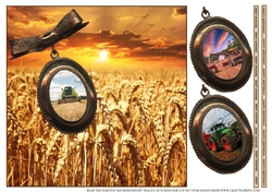 REAP THE SEED HARVEST 8x8 WITH MULTI SENTIMENT RIBBONS