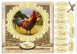 MALE RELATIVES MULTI SENTIMENT LOTS OF CATEGORIES 6 COCKEREL