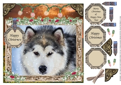 HUSKY CHRISTMAS 1