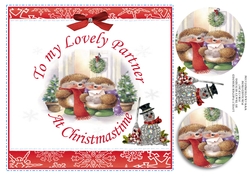 MY LOVELY PARTNER AT CHRISTMAS & REALISTIC DIAMANTE SNOWMAN