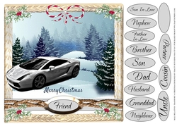 MALE RELATIVES CHRISTMAS SPORTS CAR